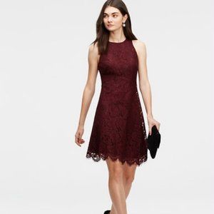 Ann Taylor Petite 00 Purple Dress Lace NWOT